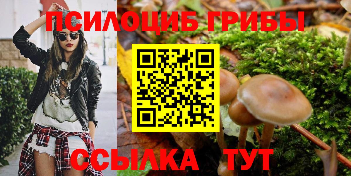 Вольск  Псилоцибиновые грибы мицелий  продажа наркотиков  Вход с VPN 